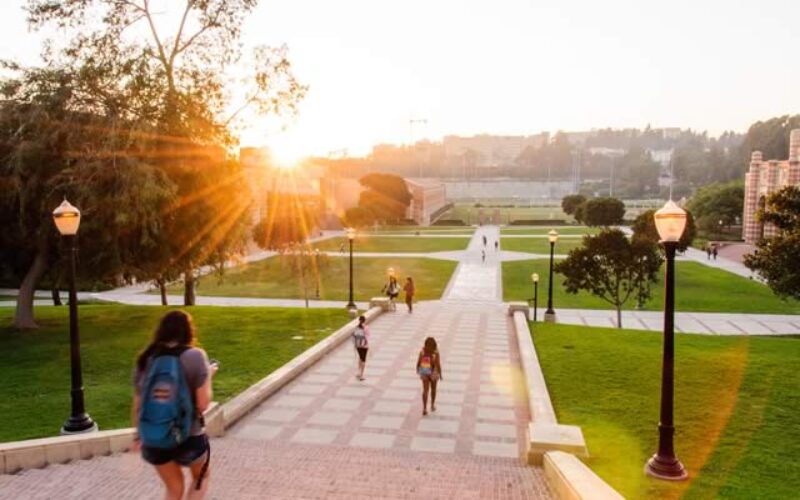 Side Hustle Culture on Steroids: Why California Students Are Always Working on Something