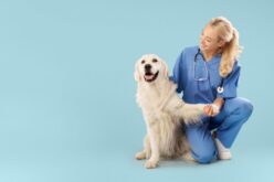 Becoming a Vet: How To Know It’s the Right Fit