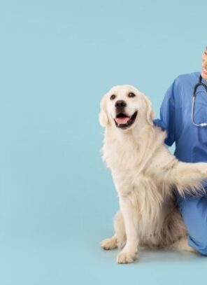Becoming a Vet: How To Know It’s the Right Fit