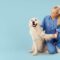 Becoming a Vet: How To Know It’s the Right Fit