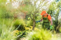 Career Options for Students Who Enjoy Working Outdoors