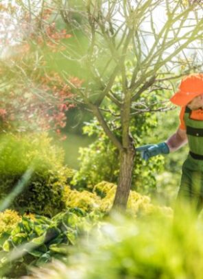 Career Options for Students Who Enjoy Working Outdoors