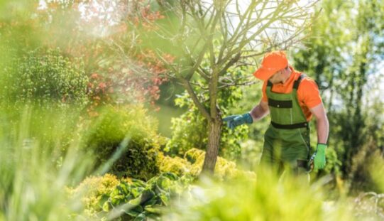 Career Options for Students Who Enjoy Working Outdoors