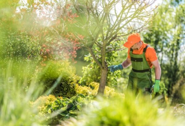 Career Options for Students Who Enjoy Working Outdoors