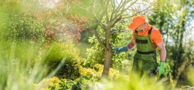 Career Options for Students Who Enjoy Working Outdoors
