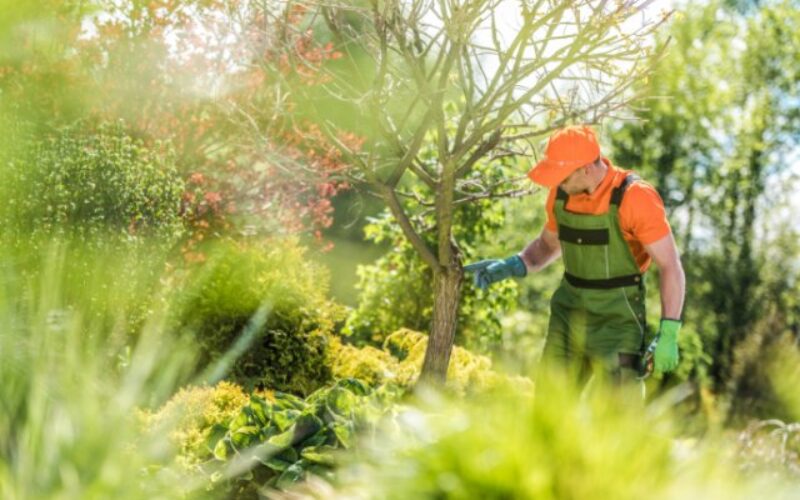 Career Options for Students Who Enjoy Working Outdoors