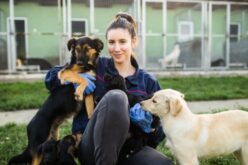 Interesting Jobs That Let You Work With Animals