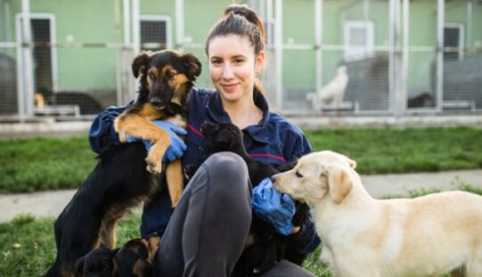 Interesting Jobs That Let You Work With Animals