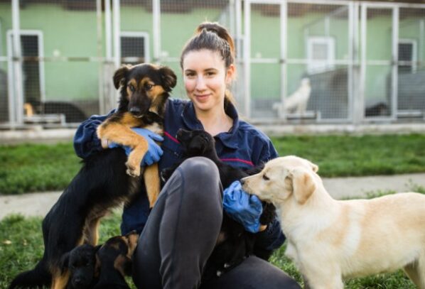 Interesting Jobs That Let You Work With Animals
