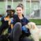 Interesting Jobs That Let You Work With Animals