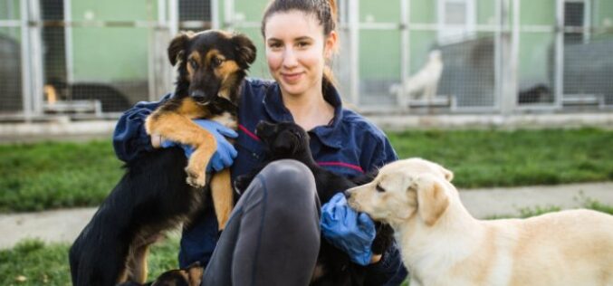Interesting Jobs That Let You Work With Animals