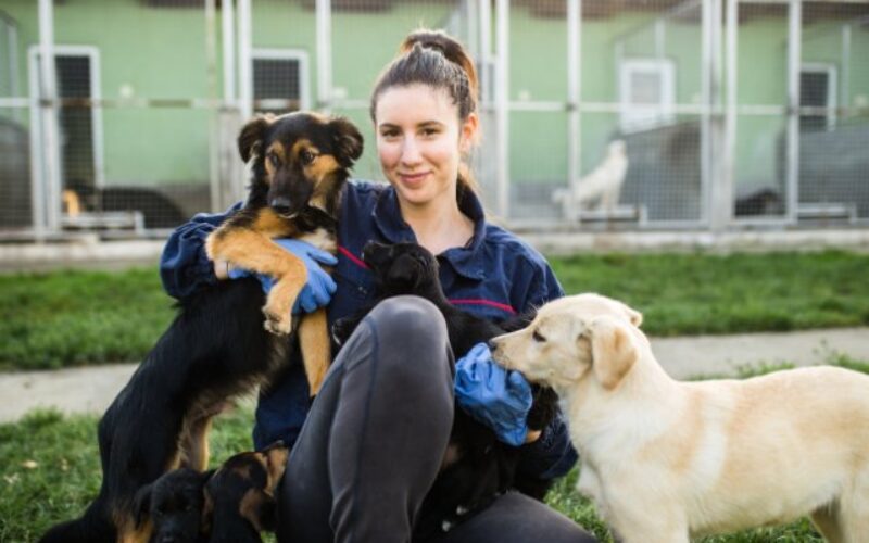 Interesting Jobs That Let You Work With Animals